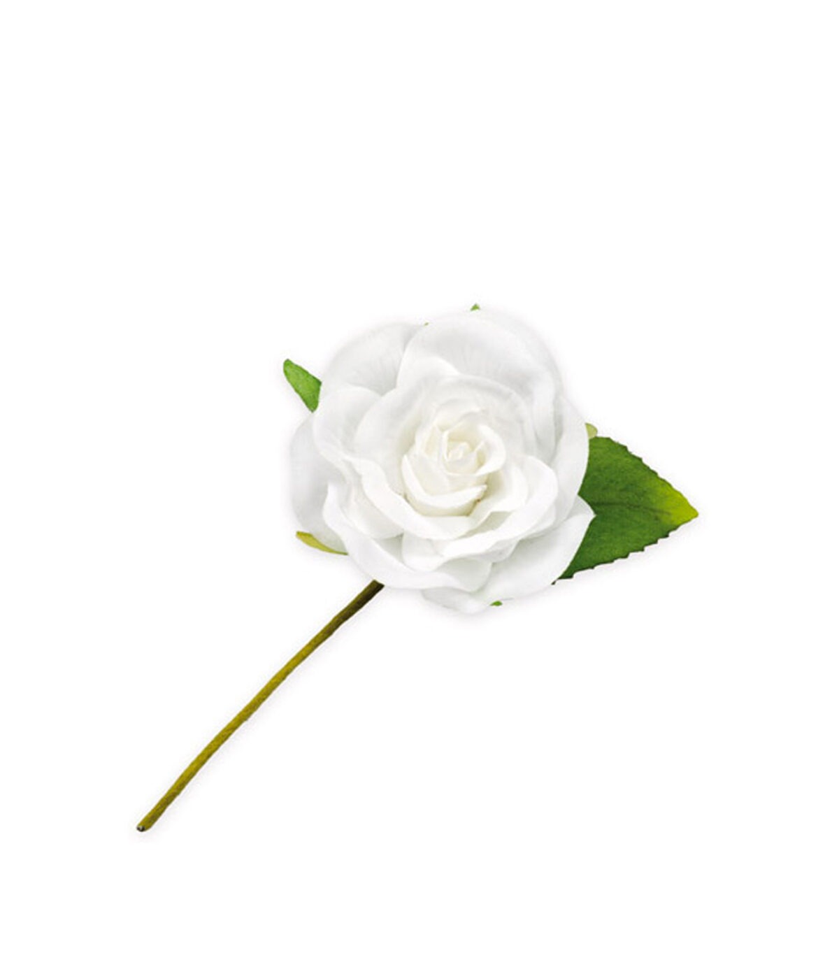 rosellina